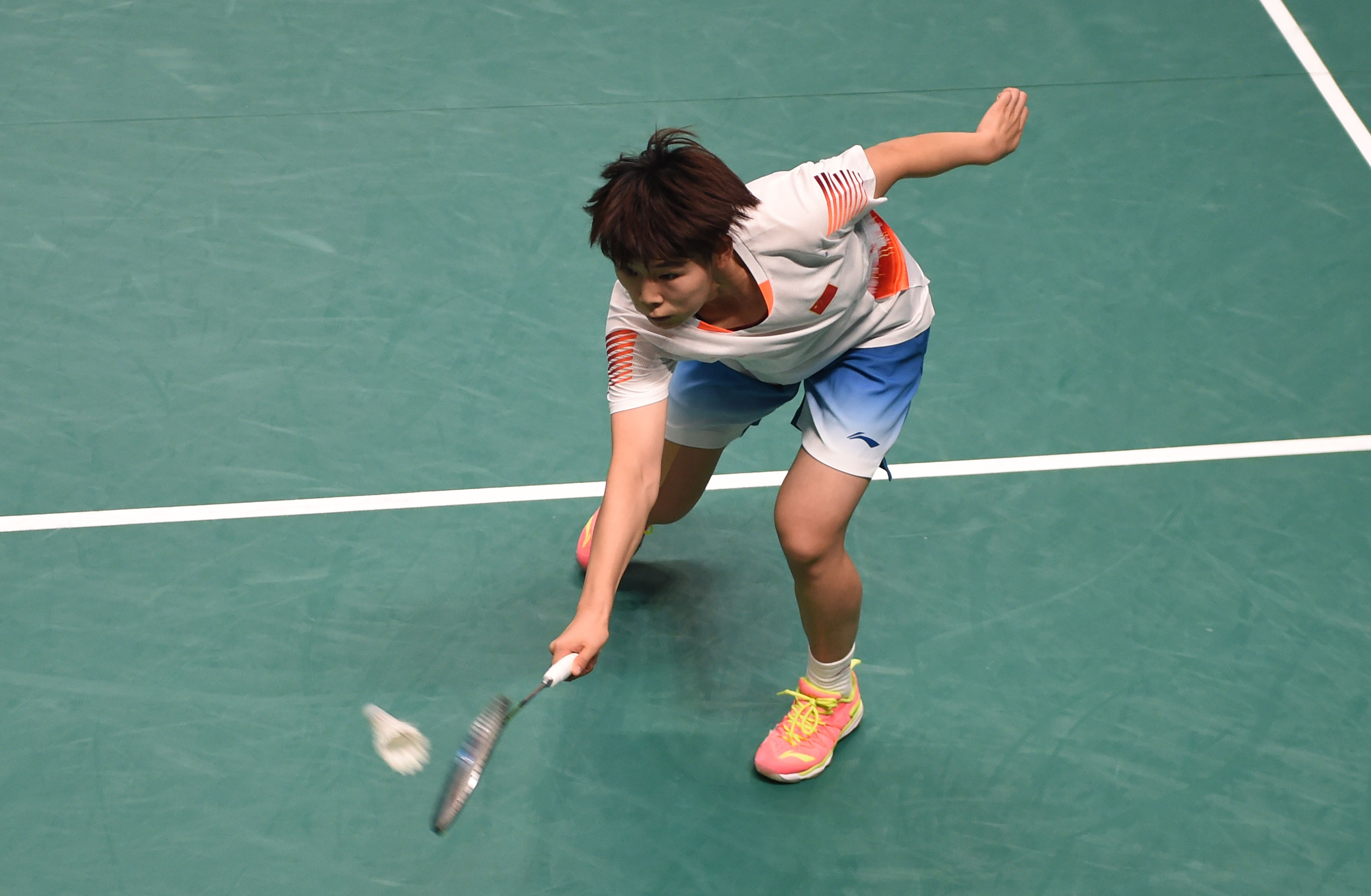 引发了球迷 引发了球迷