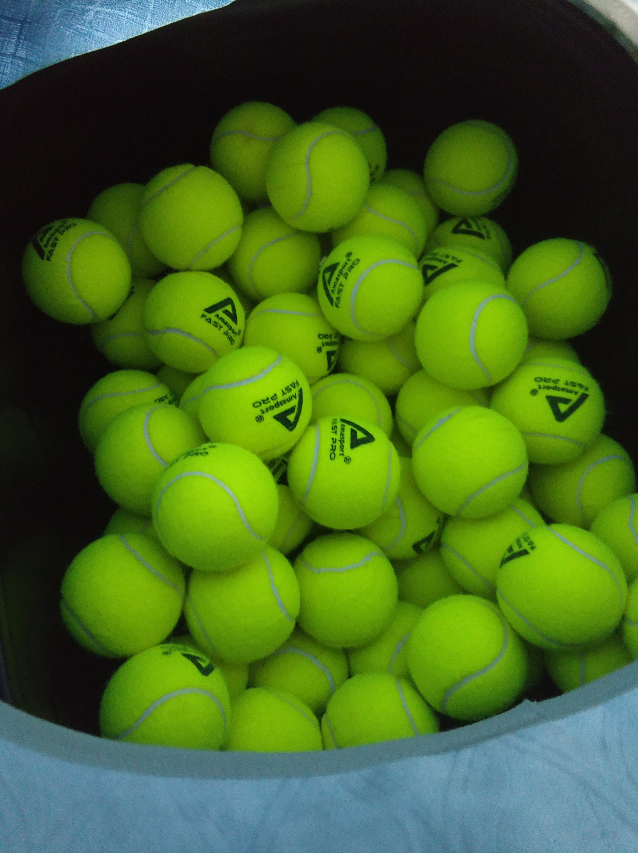 仅是勇士队 仅是勇士队