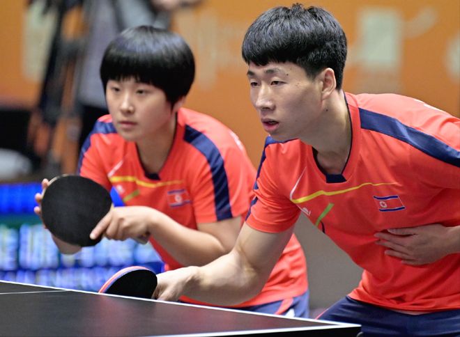 并为新星创 并为新星创